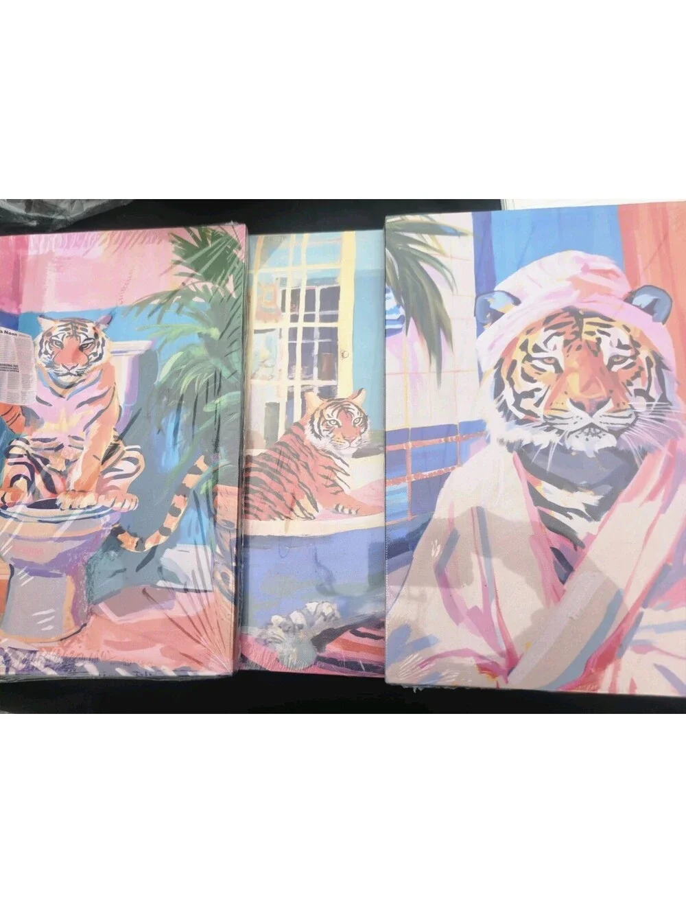 Lion's spa bath picture frames 12 X 16 set of 3